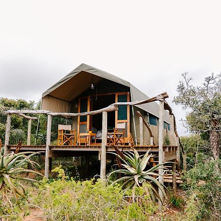 Woodbury Tented Camp - Amakhala Game Reserve Exterior photo